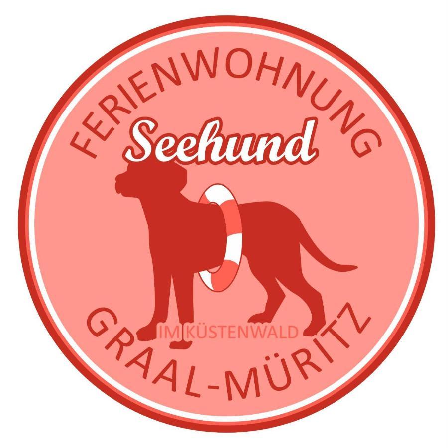 Ferienwohnung Kwi 81 Og "Seehund" غرال موريتز المظهر الخارجي الصورة