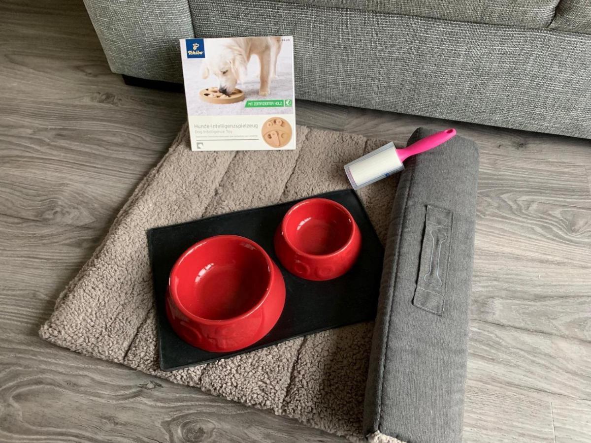 Ferienwohnung Kwi 81 Og "Seehund" غرال موريتز المظهر الخارجي الصورة